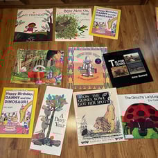 Lot of 10 Big Books Lap Books For Classroom