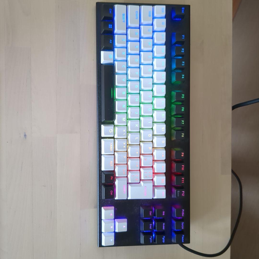 REALFORCE R2 Professional (GX1) 45g actuation force
