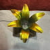 Port. Electric Pineapple Shaped Desk-Table Fan. 15x8.25x4. Green/Gold metallic.