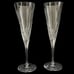 SET OF 2 Vera Wang Wedgwood Duchesse TOASTING FLUTES NEW Size: 9 3/4