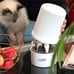 Long Hair Cat Grooming Kit-FDG5