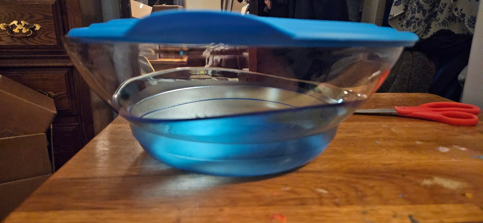 Tupperware sheerly elegant bowl