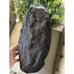 Coach 2012 Kyra Daisy Black Signature Tote Shoulder Bag