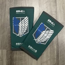Village Hidden in Iron Wings Attack on Titan AOT Knee Sleeves S