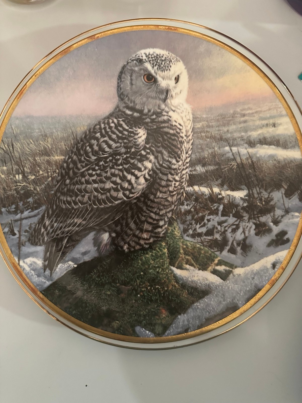 Vintage 1986 Noble owls of America plate collection 8 pc