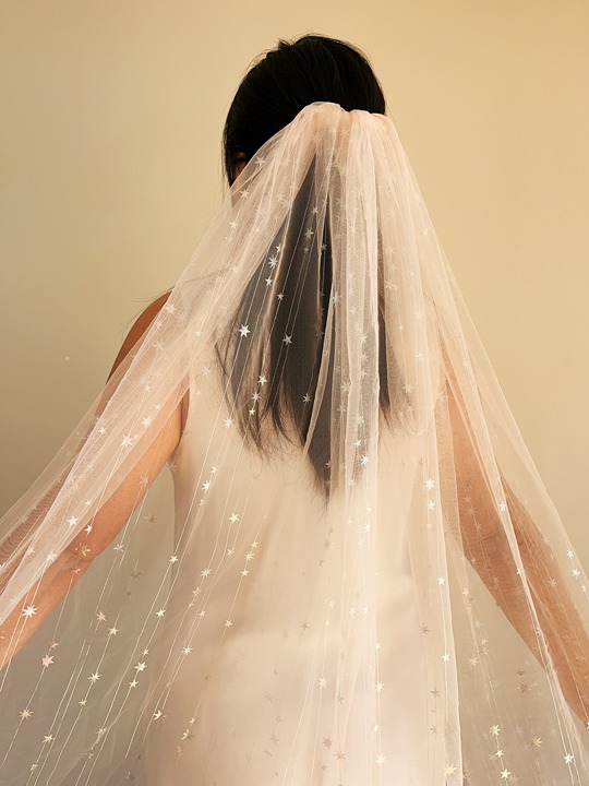 pink tulle shinning star Bachelorette Veil Valentine's Day Cute sparkly Bridal S