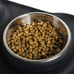 2 pcs Franklin Pet Supply Double Bowl Pet Feeding Station