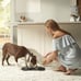 2 pcs Franklin Pet Supply Double Bowl Pet Feeding Station