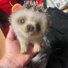 Needle felted hedgehog