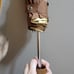 Coach umbrella