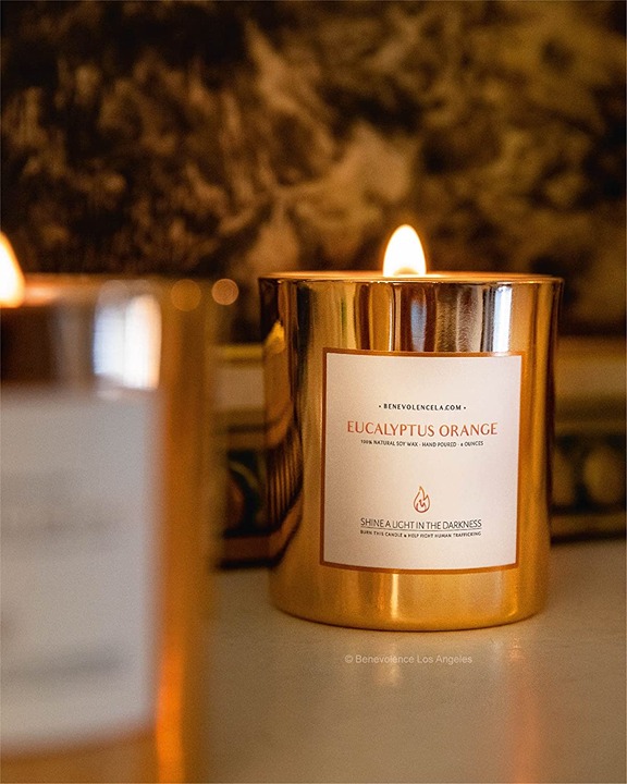 Benevolence LA Eucalyptus & Orange Wood Wick Candles | 8 oz Scented Candles for
