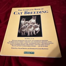 Complete Guide to Cat Breeding