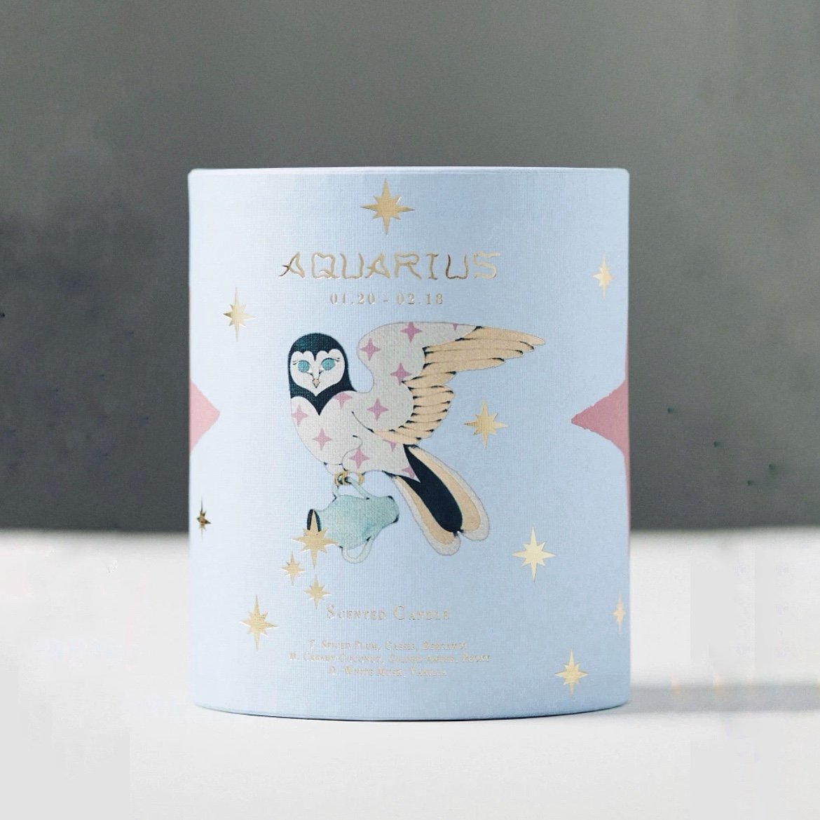 NWT Lou Benesch x Anthropologie Stargazer Zodiac Boxed Candle, Aquarius
