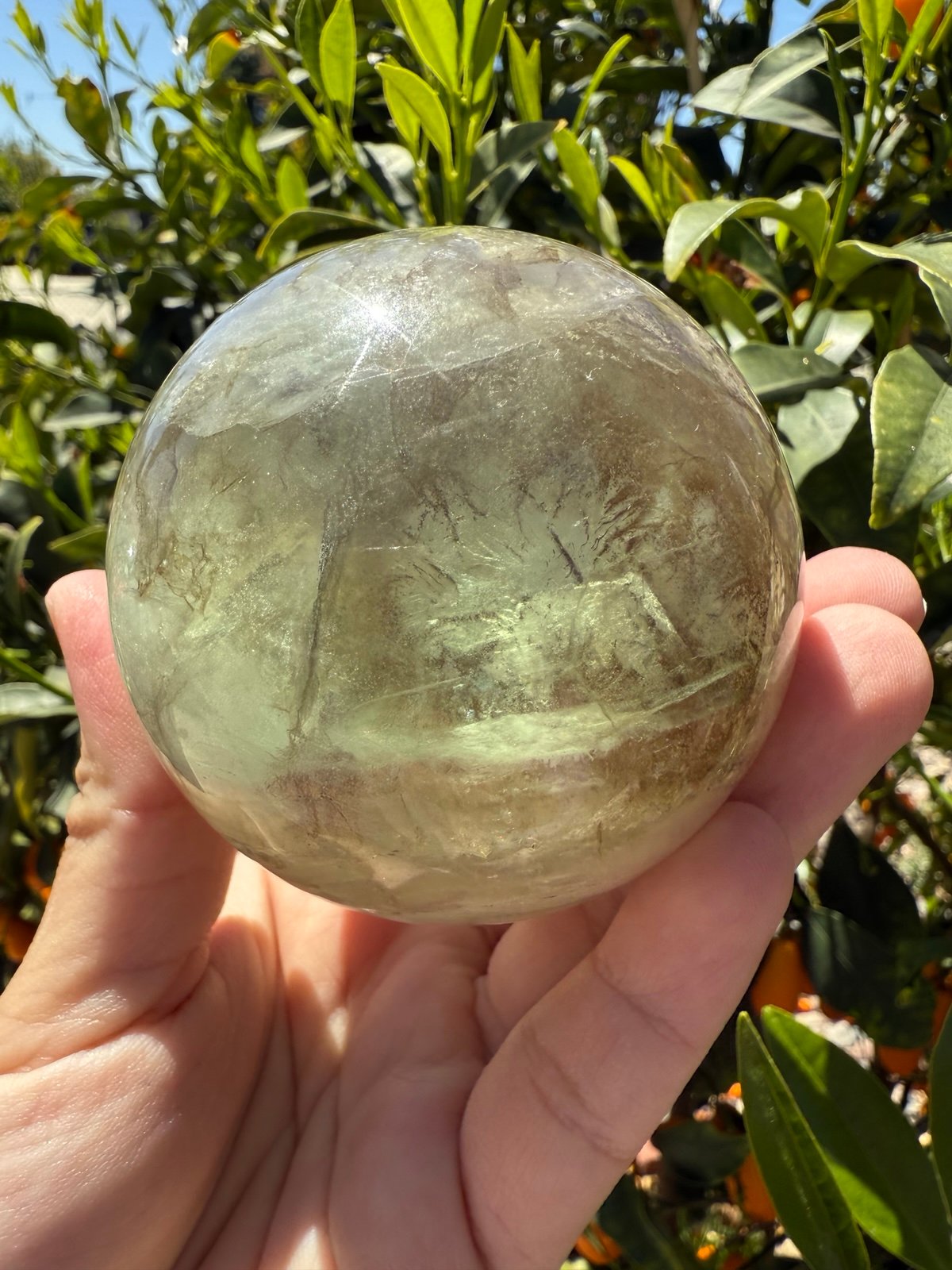 Rare Kelp Fluorite Sphere