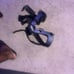 donjoy knee brace