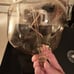 Tala lightbulb