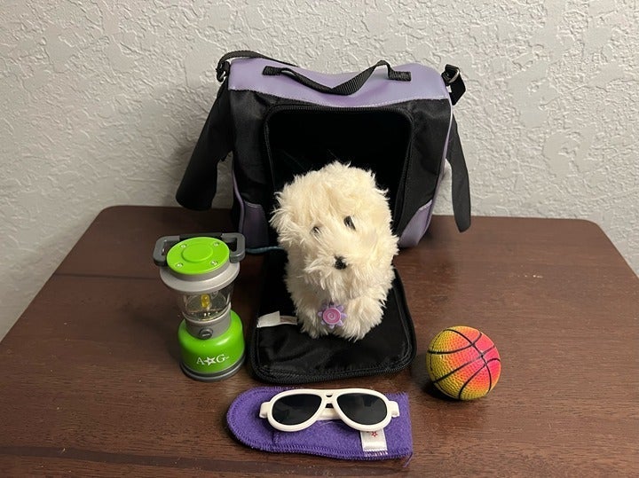 American Girl Doll Accessories with Coconut Dog