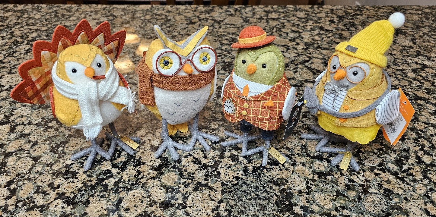 Target 2023 Set 4 Featherly Friends Felt Birds Fall Oats Apple Owl Coco Turkey