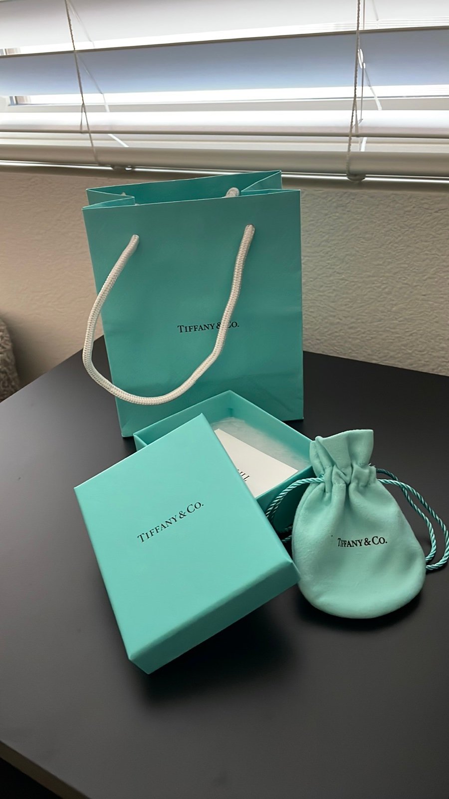 Tiffany & co shopping bag with box and pouch
