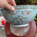 Macau Bowl / Porcelain Bowl / Large Bowl / Decorative Bowl / Floral /Butterflies