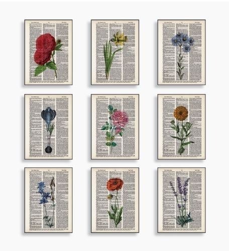 Set of 9 Botanical Art - Flowers - Vintage Flower Art