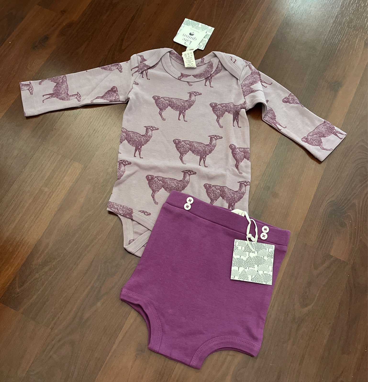 Kate Quinn bundle