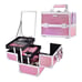 Pink Makeup 2 Trays Mirror Storage Case Cosmetic Box