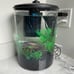 3.5 Gallon Fish Tank