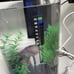3.5 Gallon Fish Tank