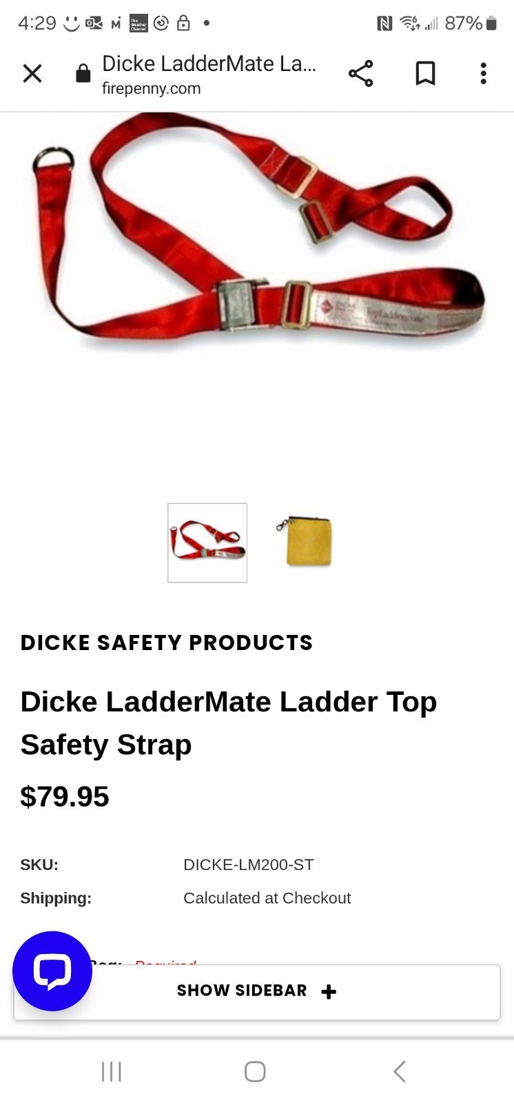 Dickie Ladder Strap