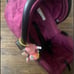 Urbini stroller
