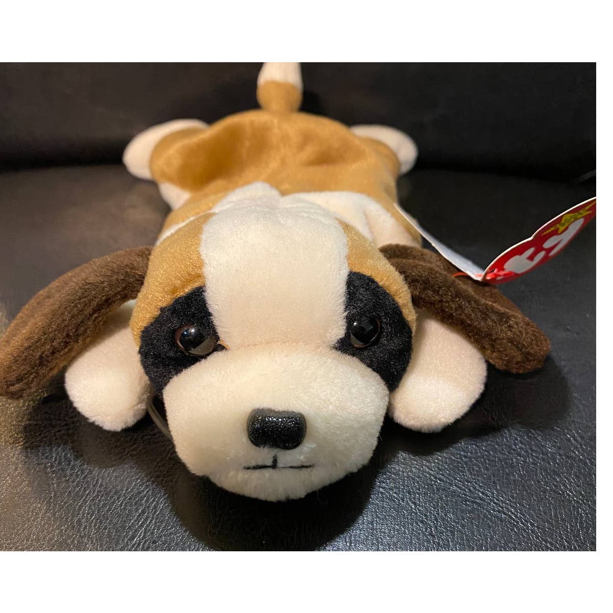 Weirdest Ty Beanie Baby ever. Bernie w/ WRONG TAG and mysterious stamp!