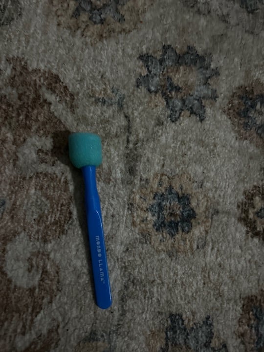 Paint brush