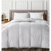 Charter Club Down Comforter queen