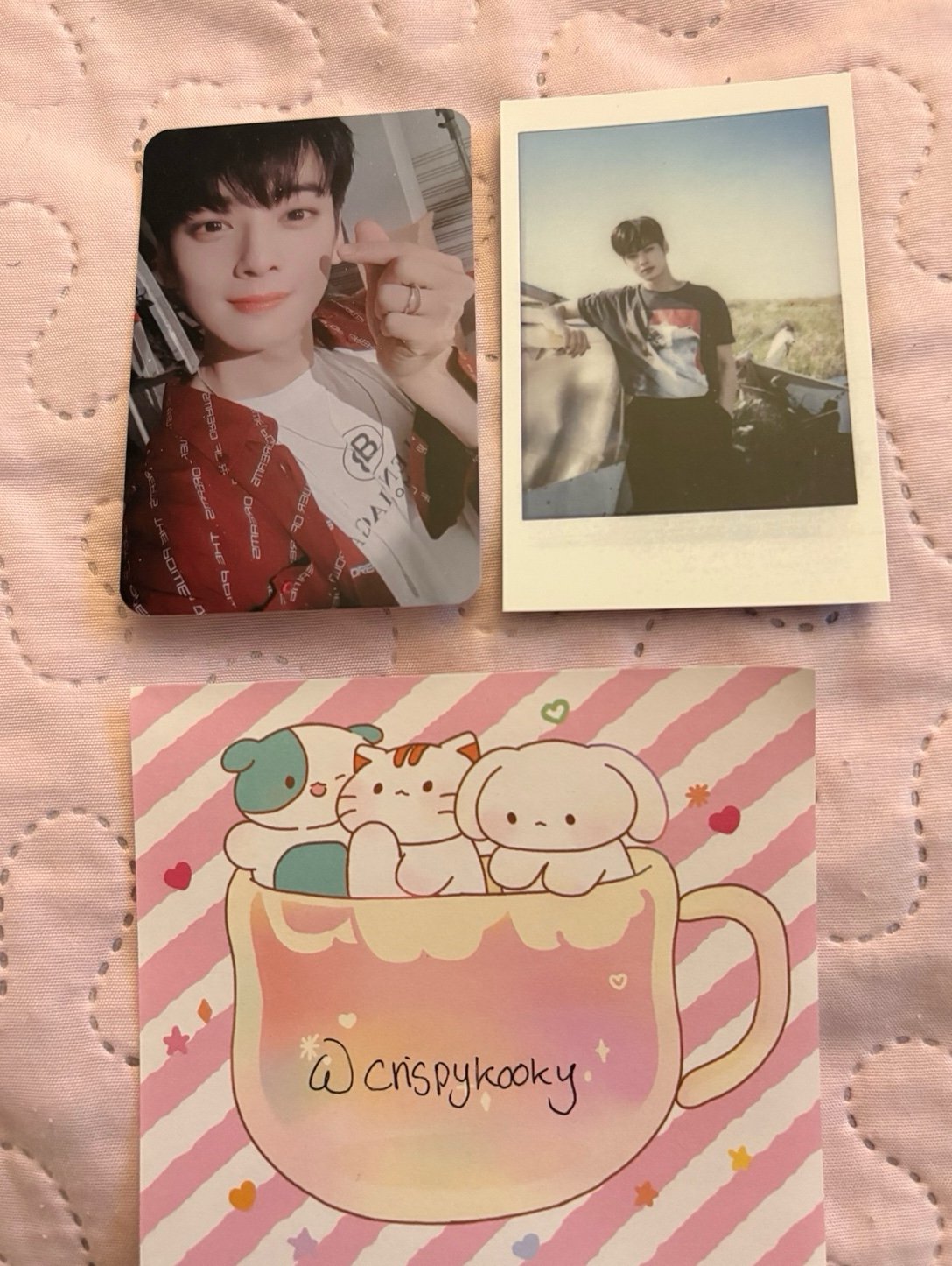 Cha Eunwoo Rise-Up Photocards