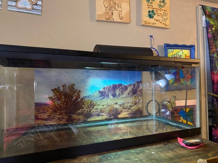 20 gallon aquatic turtle enclosure