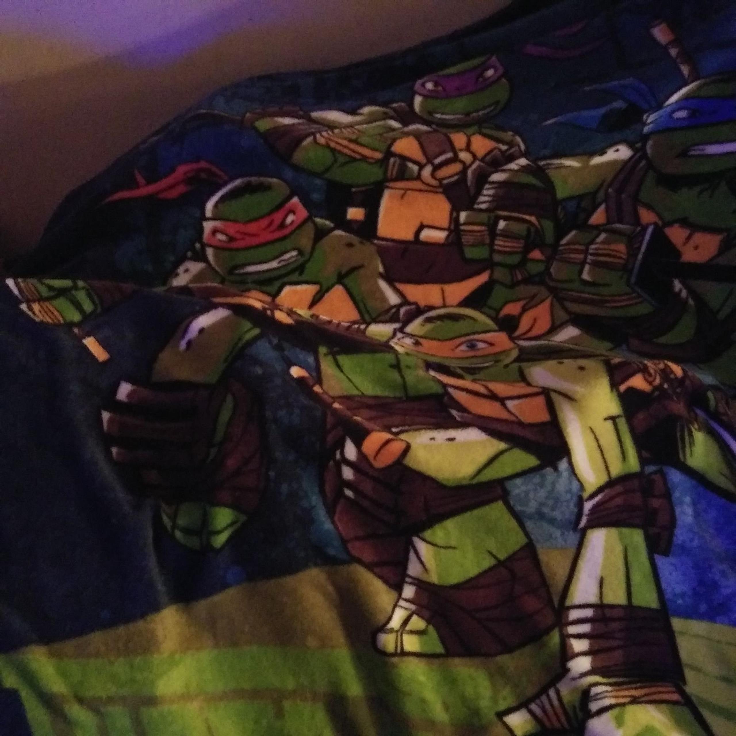 Vintage Ninja Turtles twin Blanket