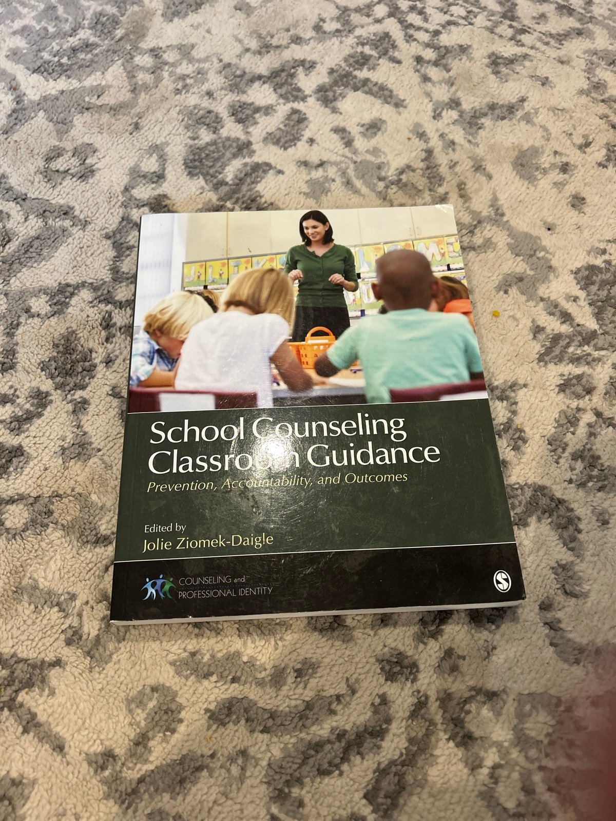 School Counseling, Classroom Guidance