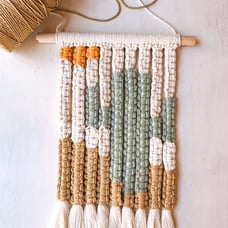 Macrame cactus wall hanging