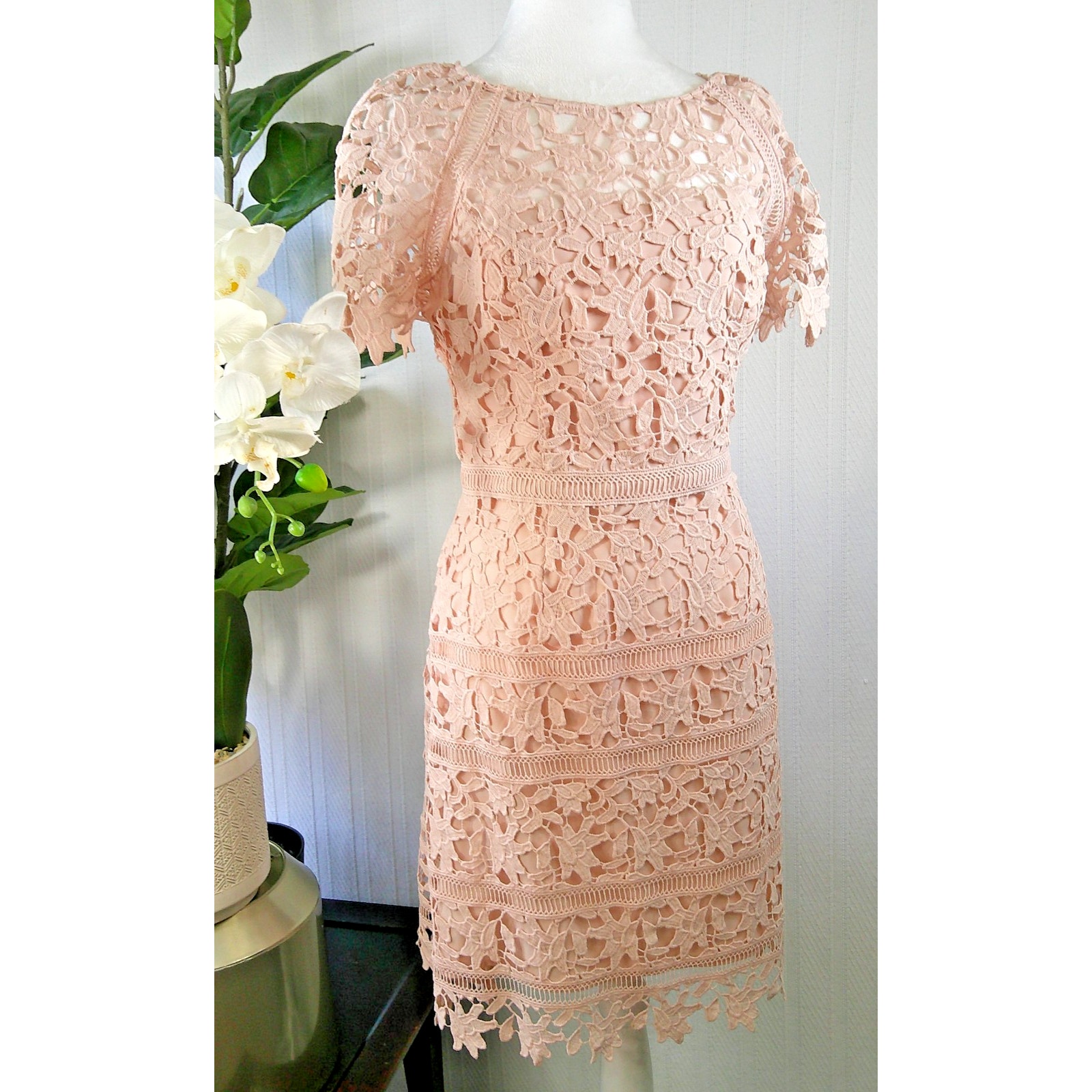 Eliza J Blush Pink Lace Overlay Sheath Dress Size 10