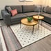 Alfa Rich 4x6 Area Rug, Mauve Grey White Cream Rug, Cotton Pet Friendly Washable