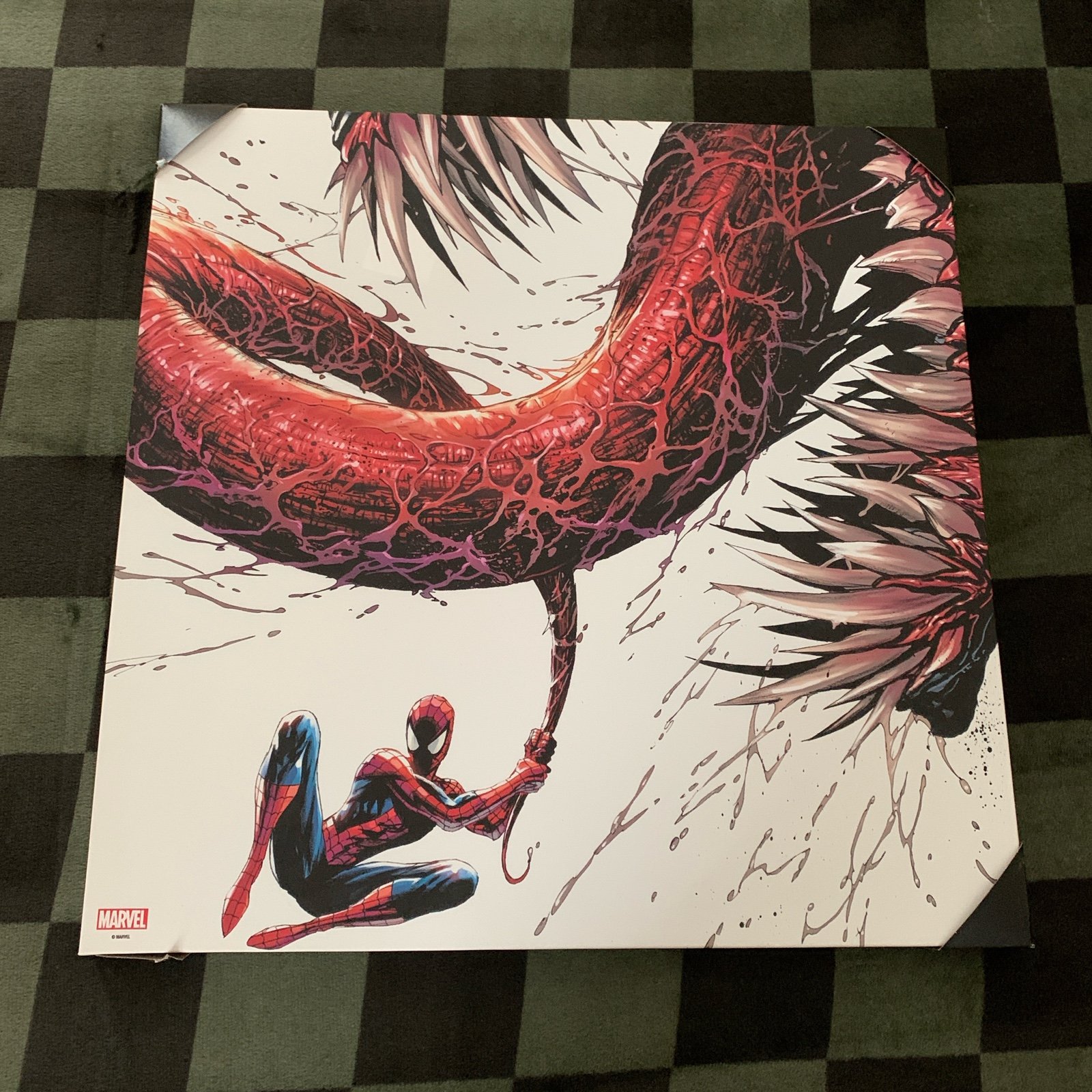 Spider Man vs. Venom Wall Portrait