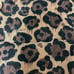 Coach - NWT DISCONTINUED LIMITED EDITION All Over Wild Beast Printed Shawl