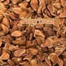 3 oz North Red Chinese Toon Seeds- XiangChunYa, Chinese Cedar|Non-GMO, Heirloom