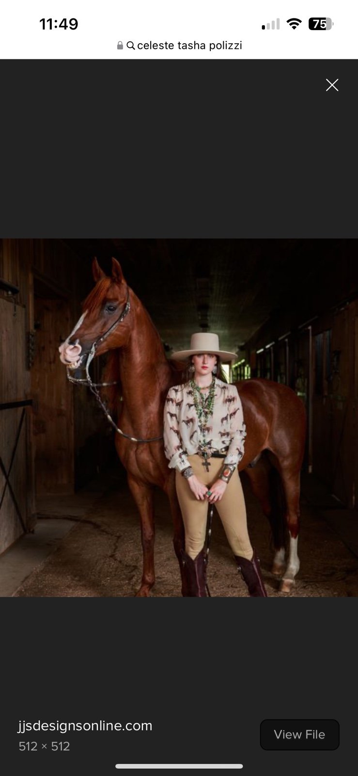 Tasha Polizzi Celeste horse shirt