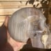 Light amethyst Skull