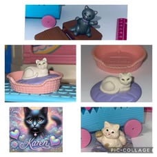 Karen reserved listing ♥️ 2025- March