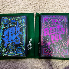 Neon Gods and Electric Idol Bookish Box SE REPRINT