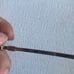NWT Tiffany & Co. eyeglass frames