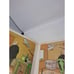 Picturebacks Ser.: Who's Got the Apple by Jan Loof (1975, Trade Paperback)